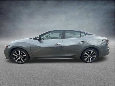 2023 Nissan Maxima SV