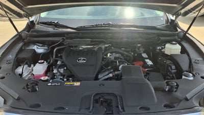 2023 Lexus RX 350 Luxury
