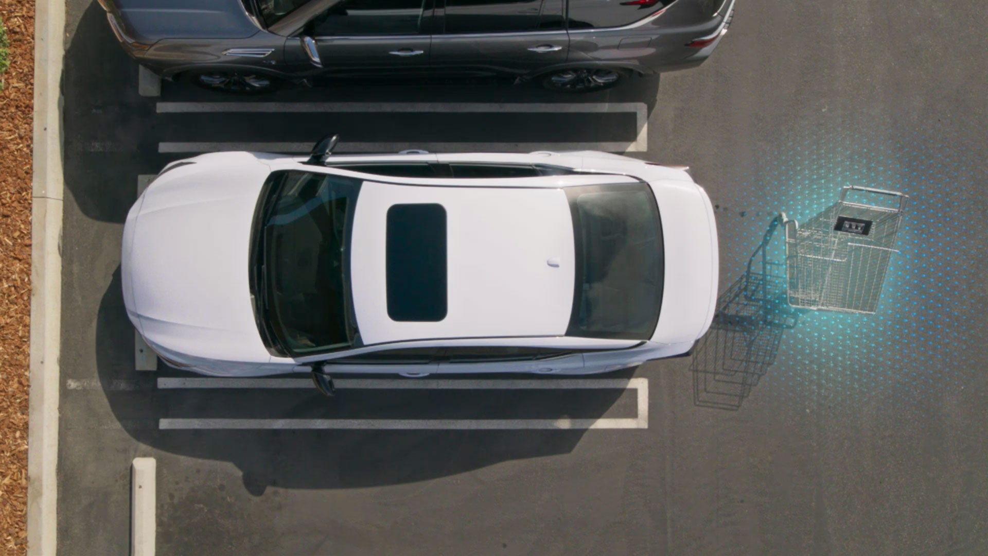 2026 Nissan Altima | All Star Nissan in Denham Springs, LA